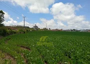 <strong>TERRENO COM FRENTE PARA A PR 151.</strong>