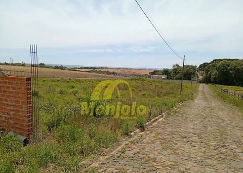Foto Rural