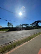 <strong>Terreno Comercial</strong> ()