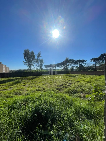 Foto Terreno