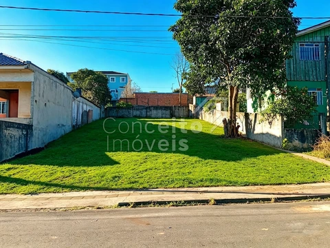 Foto Terreno