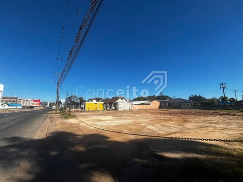 Foto Terreno