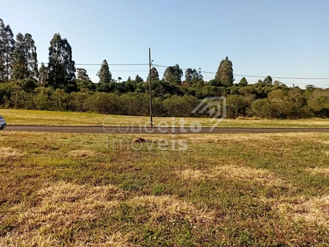 Foto Terreno