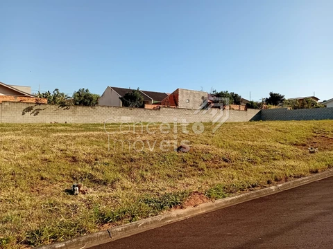 Foto Terreno