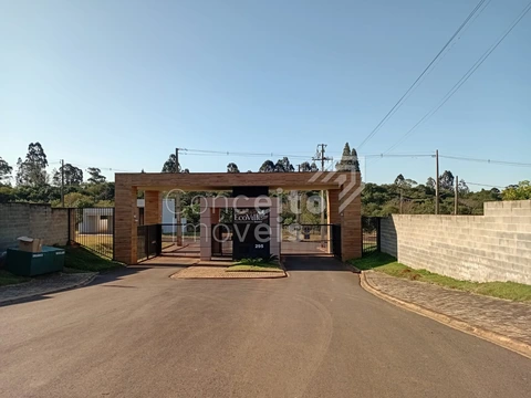 Foto Terreno