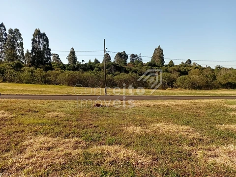 Foto Terreno