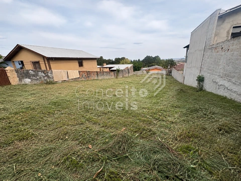 Foto Terreno