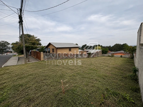 Foto Terreno