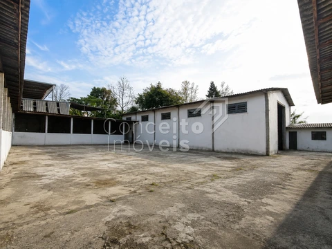 Foto Comercial