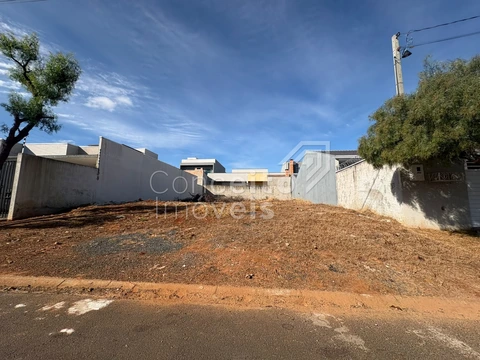 Foto Terreno