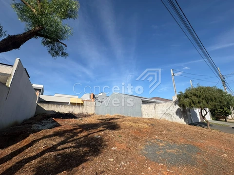 Foto Terreno