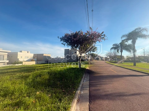 Foto Terreno