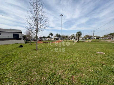 Foto Terreno