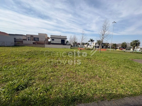 Foto Terreno