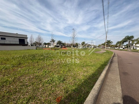 Foto Terreno