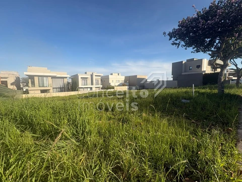 Foto Terreno