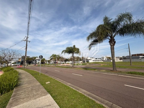 Foto Terreno