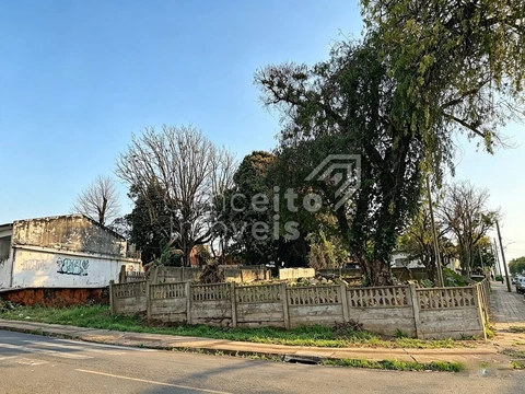Foto Terreno