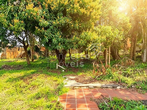 Foto Terreno