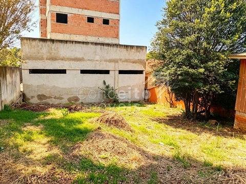 Foto Terreno
