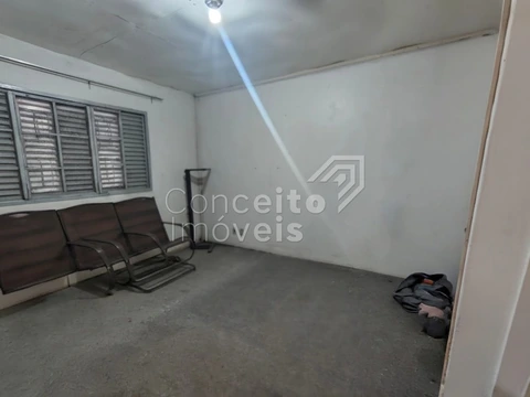 Foto Terreno