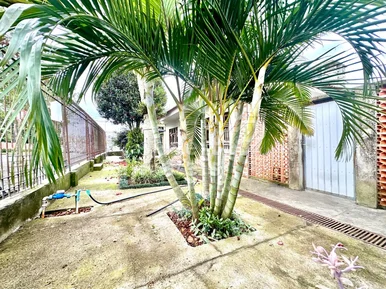 Residência Semimobiliada com amplo Terreno - Uvaranas - Foto 2
