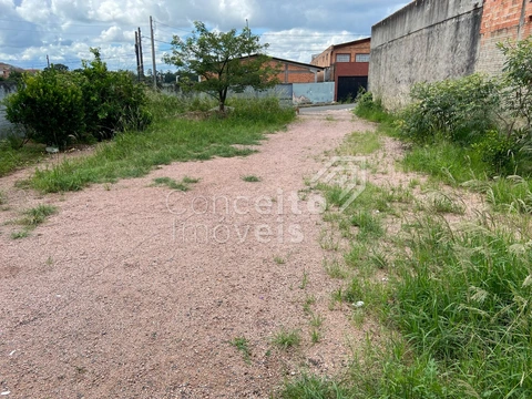 Foto Terreno