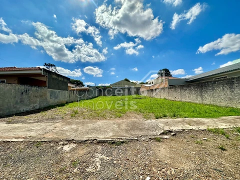 Foto Terreno
