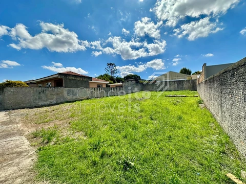 Foto Terreno