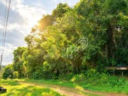 Terreno com 5.000 m² - Colônia Dona Luíza - Foto 6