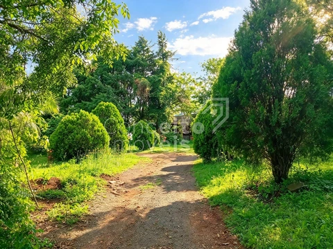 Foto Terreno