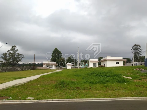 Foto Terreno