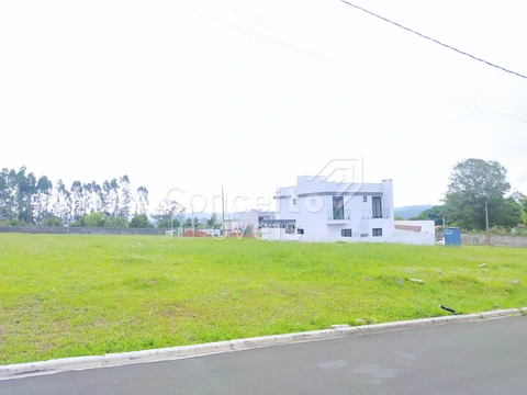 Foto Terreno