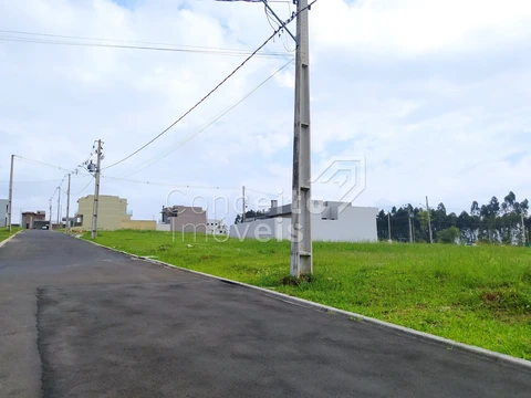 Foto Terreno