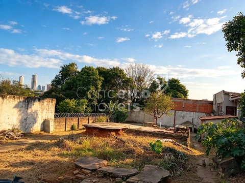 Foto Terreno