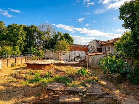 Foto Terreno