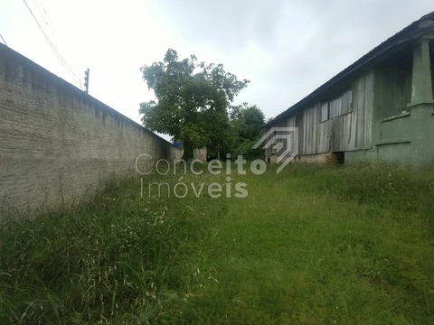 Foto Terreno