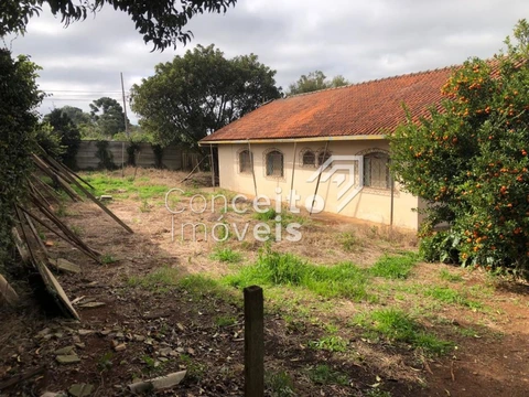 Foto Terreno