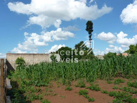 Foto Terreno