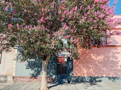 Quitinete -  Uvaranas