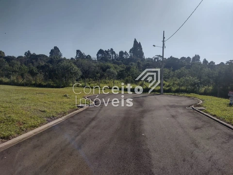 Foto Terreno