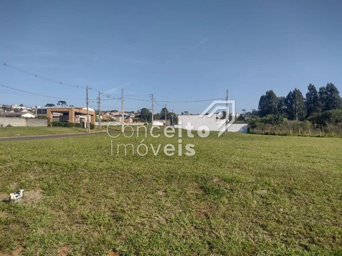 Foto Terreno
