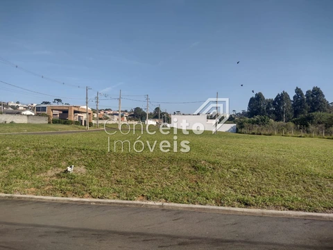 Foto Terreno