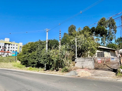 Foto Terreno