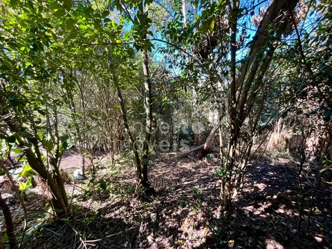 Foto Terreno
