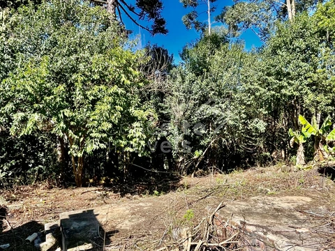 Foto Terreno