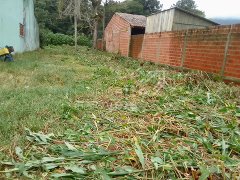 Foto Terreno