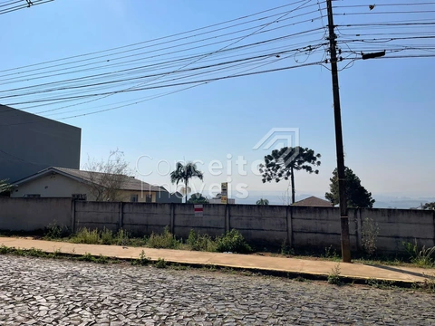 Foto Terreno