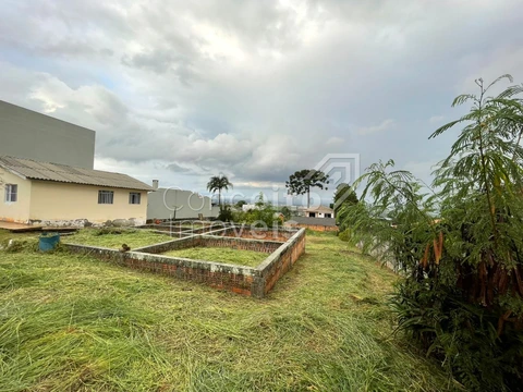 Foto Terreno