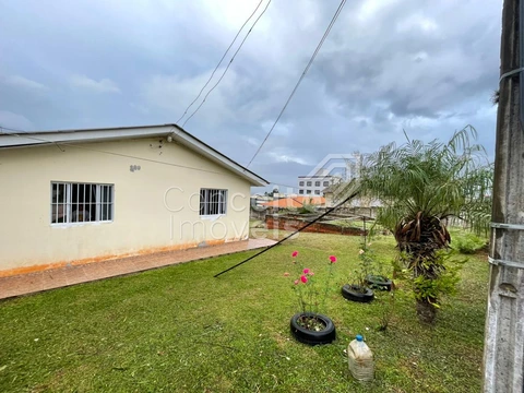 Foto Terreno
